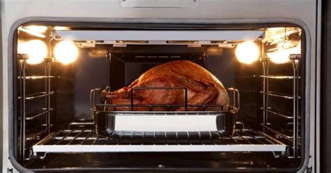 cooking turkey in gas convection oven